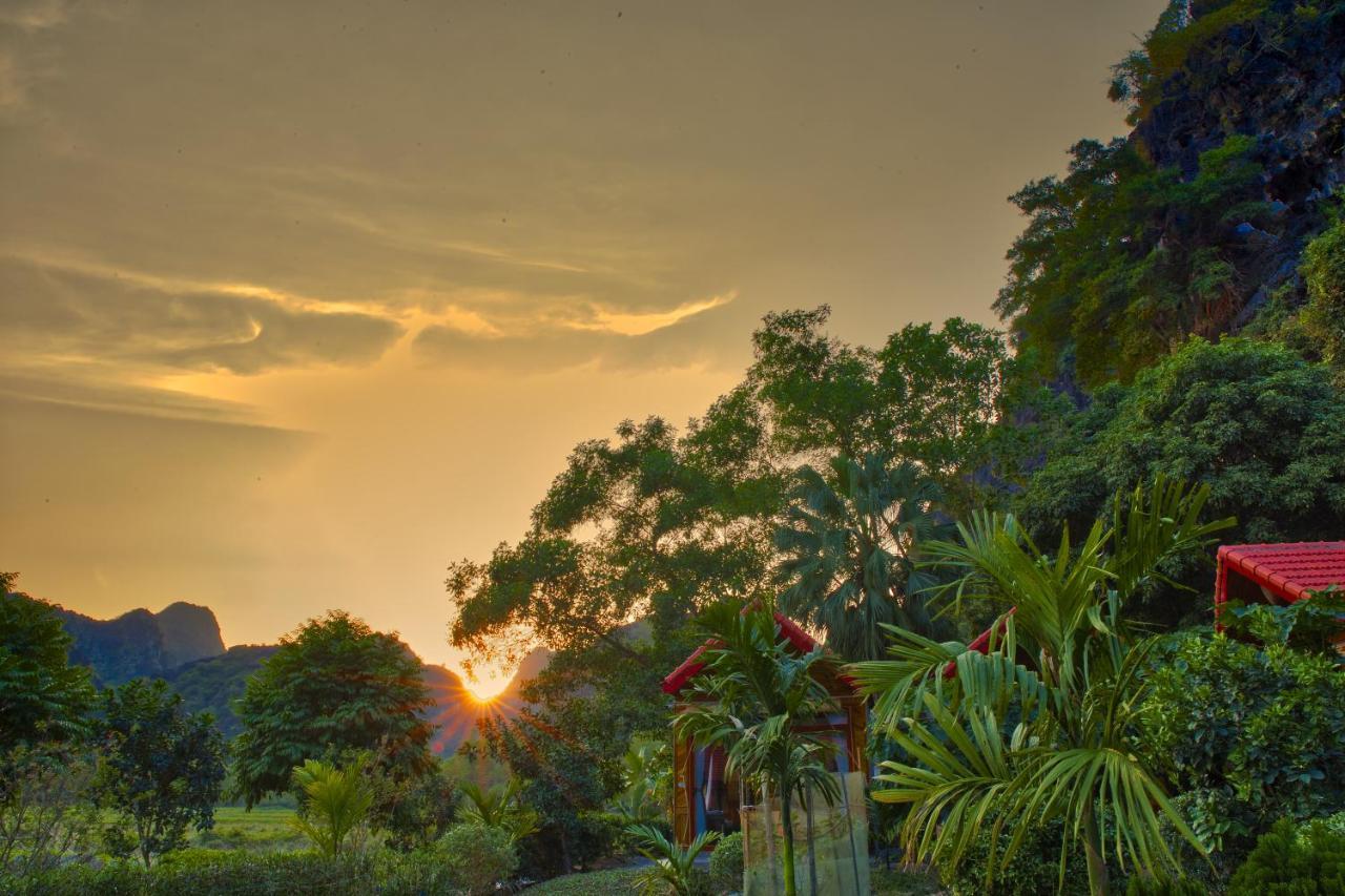 Green Mountain Homestay Ninh Binh Buitenkant foto