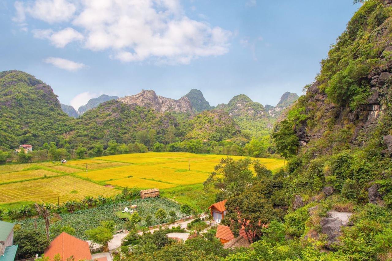 Green Mountain Homestay Ninh Binh Buitenkant foto