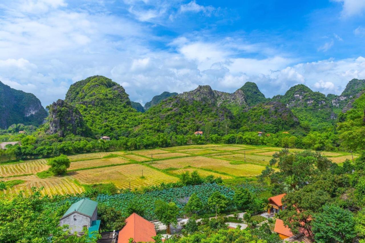 Green Mountain Homestay Ninh Binh Buitenkant foto