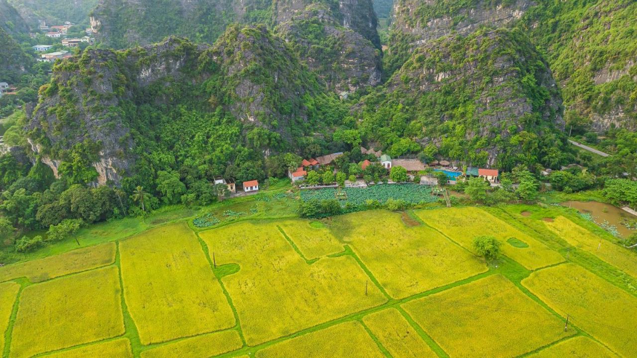 Green Mountain Homestay Ninh Binh Buitenkant foto