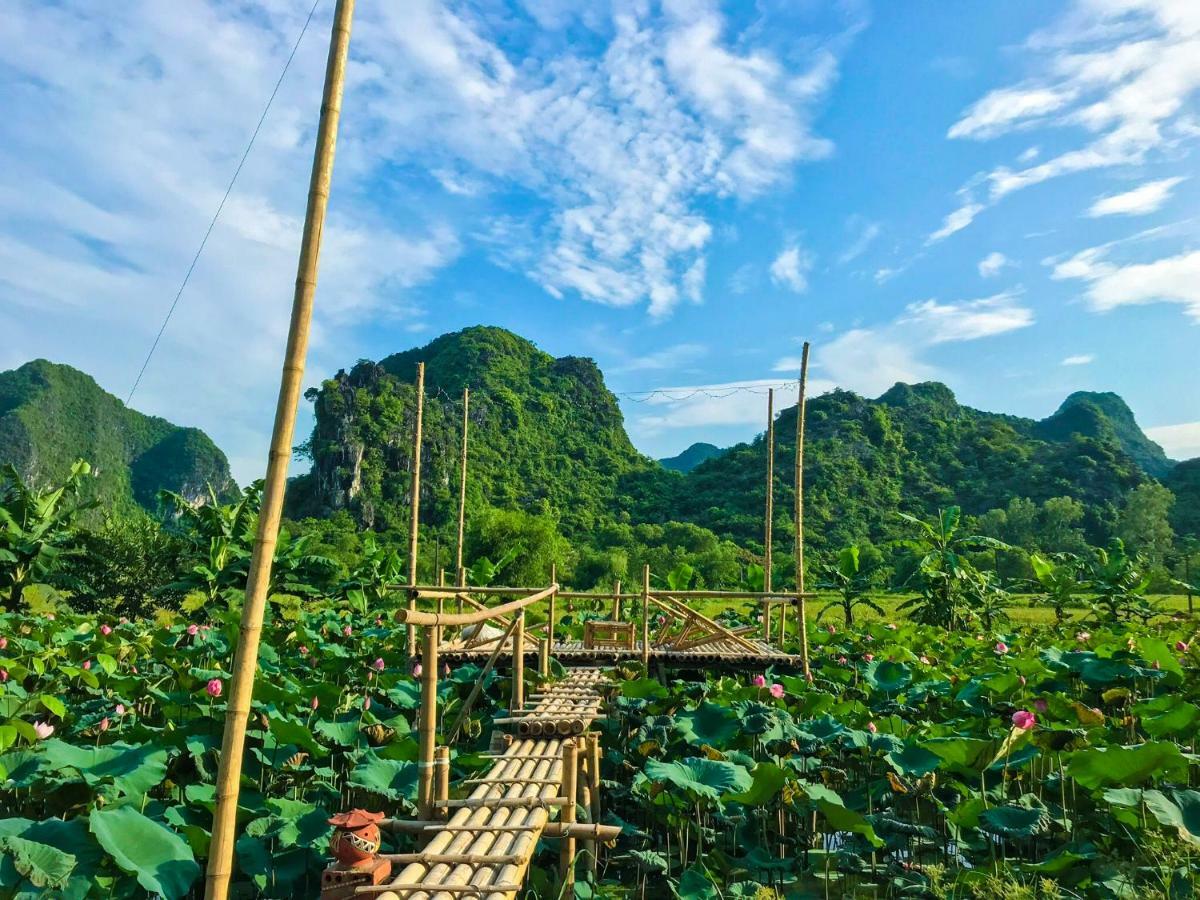 Green Mountain Homestay Ninh Binh Buitenkant foto