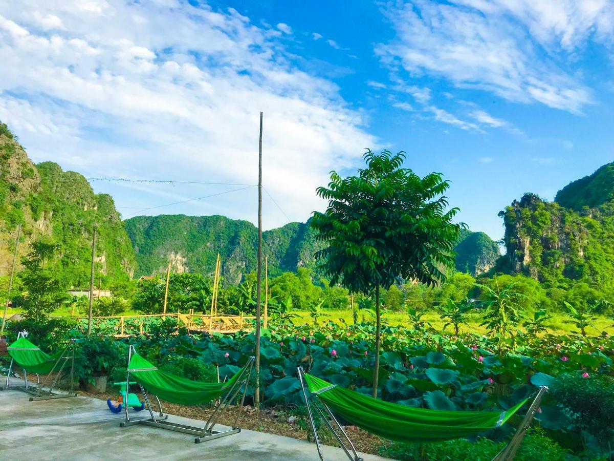 Green Mountain Homestay Ninh Binh Buitenkant foto