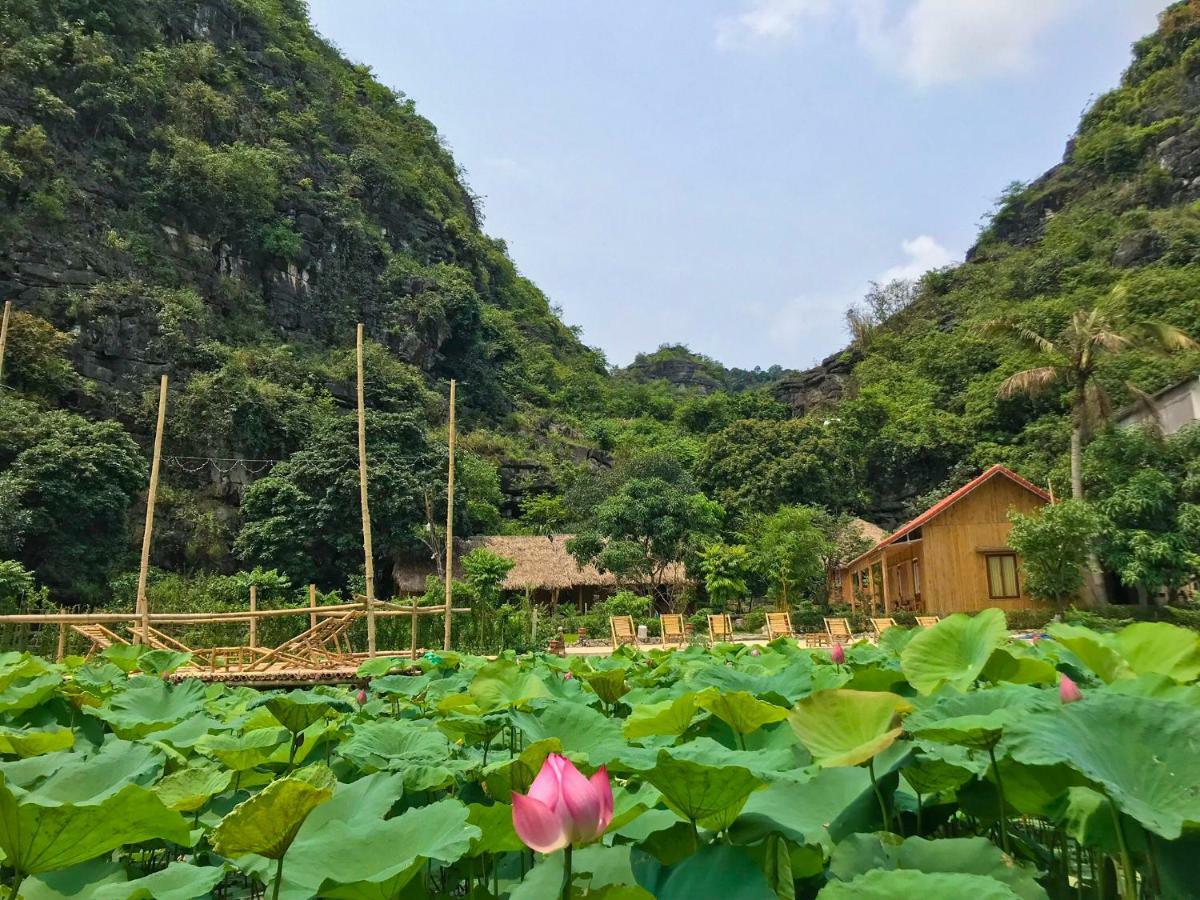 Green Mountain Homestay Ninh Binh Buitenkant foto