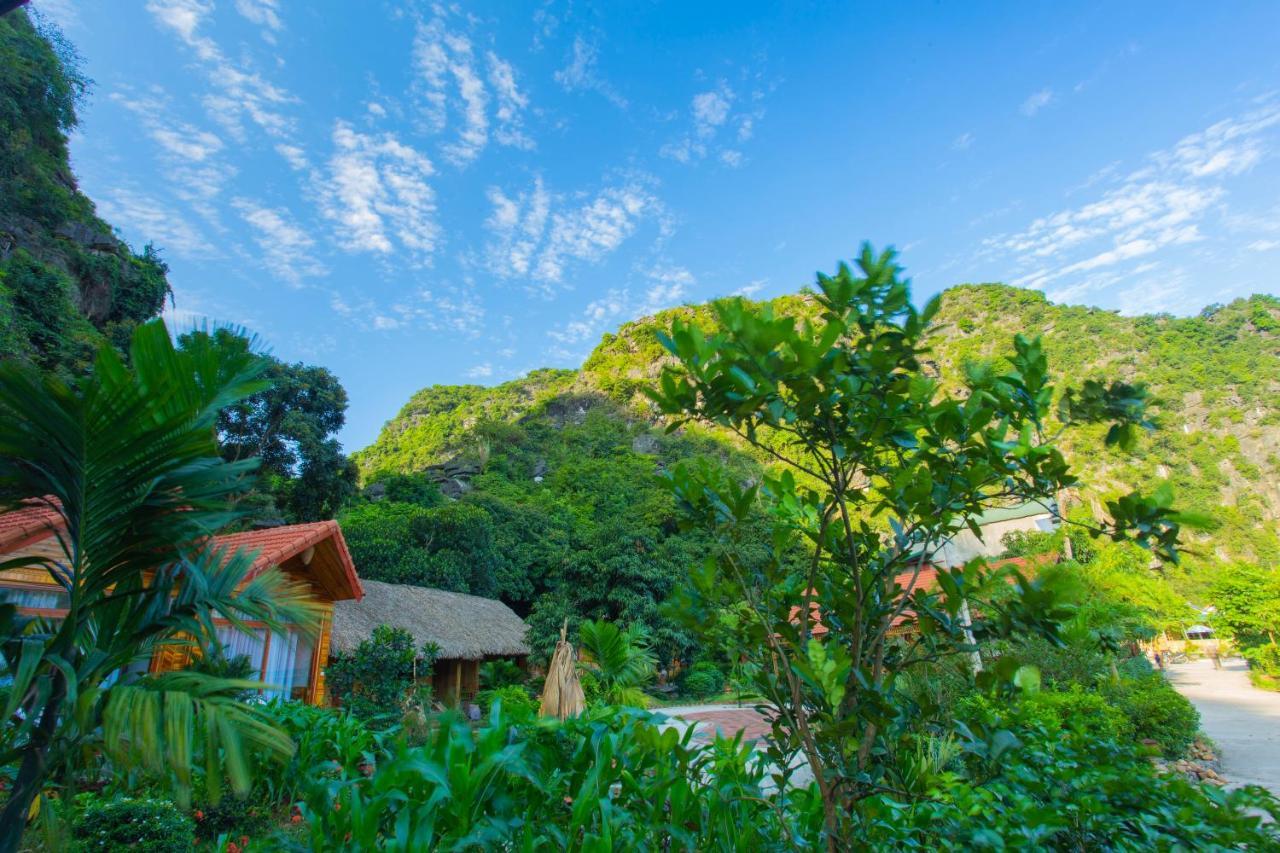 Green Mountain Homestay Ninh Binh Buitenkant foto